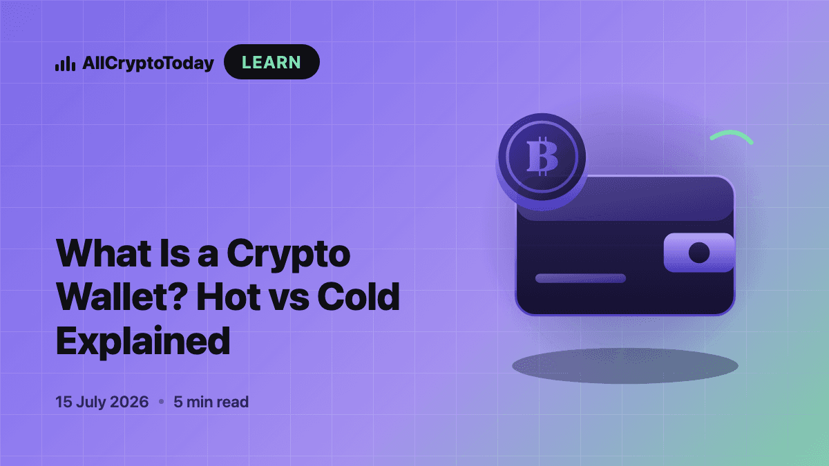 What Is a Crypto Wallet? Hot vs Cold Explained